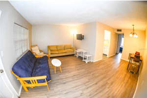 4335 AEGEAN DR #212A, TAMPA, FL 33611 Sold 08/26/22