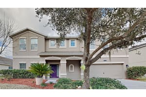 10739 Breaking Rocks Dr, Tampa, FL 33647, Sold 05/02/22