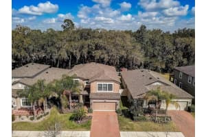 10410 Arbor Groves Pl, Riverview, FL 33578, Sold 03/30/22