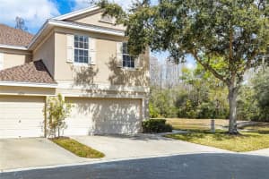 6237 Duck Key Ct, Tampa, FL 33625, Sold 04/04/22