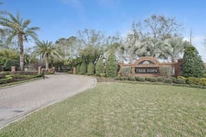 10007 Tree Tops Lake Rd, Tampa, FL 33626, Sold 05/06/22