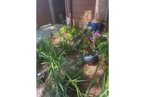2342 Sun Valley Cir, Winter Park, FL 32792, Sold 05/20/22