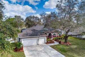 17014 Winners Cir, Odessa, FL 33556, Sold 04/14/22