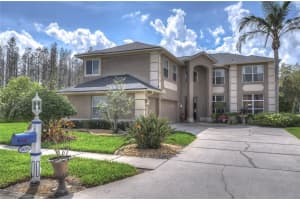 19202 Inlet Cove Ct, Lutz, FL 33558, Sold 04/19/22