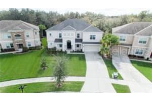 17333 Chelsea Downs Cir, Lithia, FL 33547, Sold 05/20/22