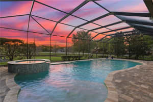 17330 Ladera Estates Blvd, Lutz, FL 33548, Sold 04/25/22