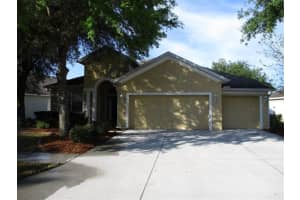 10626 Ribbon Fern Way, Land O' Lakes, FL 34638, Sold 04/12/22