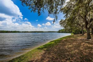 14513 Cotswolds Dr, Tampa, FL 33626, Sold 04/15/22