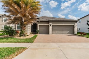 10041 Celtic Ash Dr, Ruskin, FL 33573, Sold 04/22/22