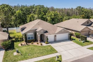 16334 Nikki Ln, Odessa, FL 33556, Sold 04/29/22