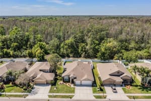 16334 Nikki Ln, Odessa, FL 33556, Sold 04/29/22