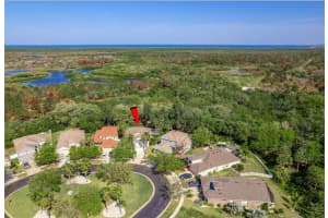 5011 Clover Mist Dr, Apollo Beach, FL 33572, Sold 04/12/22