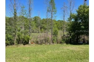 26541 Castleview Way, Wesley Chapel, FL 33544, Sold 04/29/22