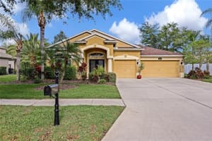 19041 Fern Meadow Loop, Lutz, FL 33558, Sold 05/05/22