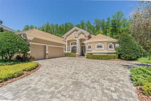 15223 Wind Whisper Dr, Odessa, FL 33556, Sold 05/31/22