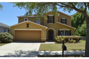 11207 Silver Fern Way, Riverview, FL 33569, Sold 05/31/22