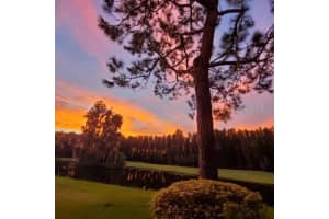 4752 FOX HUNT DR #823, WESLEY CHAPEL, FL 33543 Sold 08/29/22