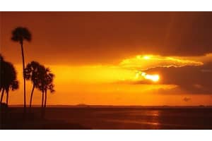 4851 W GANDY BLVD #B12L36, TAMPA, FL 33611 Sold 03/01/23