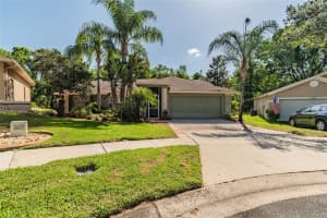 2242 Tinder Ct, Land O' Lakes, FL 34639, Sold 05/27/22