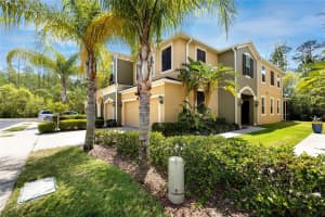 12544 SILVERDALE ST, TAMPA, FL 33626 Sold 07/06/22