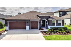 31558 Fairhill Dr, Wesley Chapel, FL 33543, Sold 05/31/22
