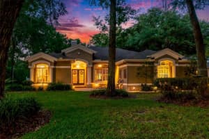 5838 Audubon Manor Blvd, Lithia, FL 33547, Sold 06/17/22