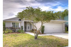 11304 Pelican Lake Ct, Riverview, FL 33569, Sold 05/31/22