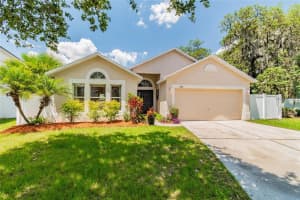 13512 Copper Head Dr, Riverview, FL 33569, Sold 06/17/22