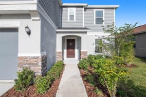 10552 LAGUNA PLAINS DR, RIVERVIEW, FL 33578 Sold 07/21/22