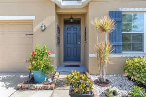 10625 Park Meadowbrooke Dr, Riverview, FL 33578, Sold 05/31/22