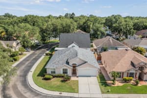 8838 CYPRESS HAMMOCK DR, TAMPA, FL 33614 Sold 08/10/22