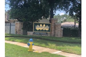 20919 Orchardtown Dr, Land O' Lakes, FL 34638, Sold 06/24/22