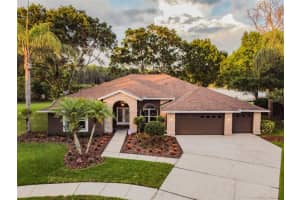 17412 Hialeah Dr, Odessa, FL 33556, Sold 06/17/22