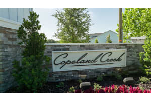 6207 NIKKI LN, ODESSA, FL 33556 Sold 09/30/22