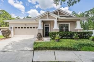 4806 Sky Blue Dr, Lutz, FL 33558, Sold 06/13/22