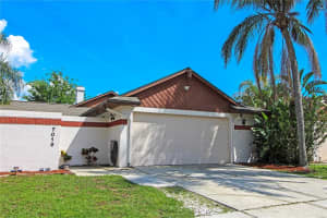 7019 Drury St, Tampa, FL 33635, Sold 06/03/22