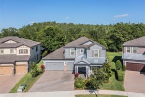 18779 Birchwood Groves Dr, Lutz, FL 33558, Sold 06/24/22