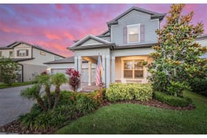 18779 Birchwood Groves Dr, Lutz, FL 33558, Sold 06/24/22