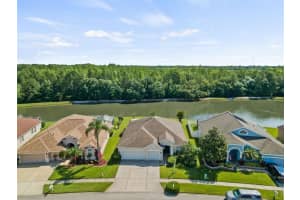 27253 Hollybrook Trail, Wesley Chapel, FL 33544, Sold 06/09/22