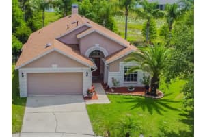 1412 AVONWOOD CT, LUTZ, FL 33559 Sold 07/11/22
