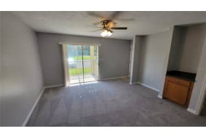 314 Lake Parsons Green, Brandon, FL 33511, Sold 06/03/22