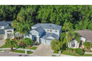 10539 CANARY ISLE DR, TAMPA, FL 33647 Sold 08/31/22
