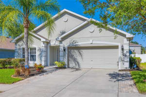 6050 DESERT PEACE AVE, LAND O LAKES, FL 34639 Sold 07/01/22