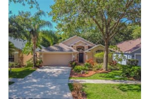 7117 COLONY POINTE DR, RIVERVIEW, FL 33578 Sold 07/26/22