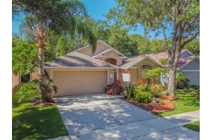 7117 COLONY POINTE DR, RIVERVIEW, FL 33578 Sold 07/26/22