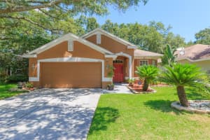 4633 DUNNIE DR, TAMPA, FL 33614 Sold 07/12/22
