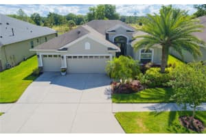 3445 DIAMOND FALLS CIR, LAND O LAKES, FL 34638 Sold 07/12/22