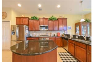 3445 DIAMOND FALLS CIR, LAND O LAKES, FL 34638 Sold 07/12/22