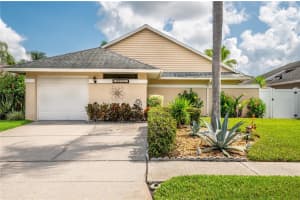 5921 BIRCHWOOD DR, TAMPA, FL 33625 Sold 09/15/22