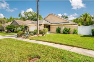 5921 BIRCHWOOD DR, TAMPA, FL 33625 Sold 09/15/22